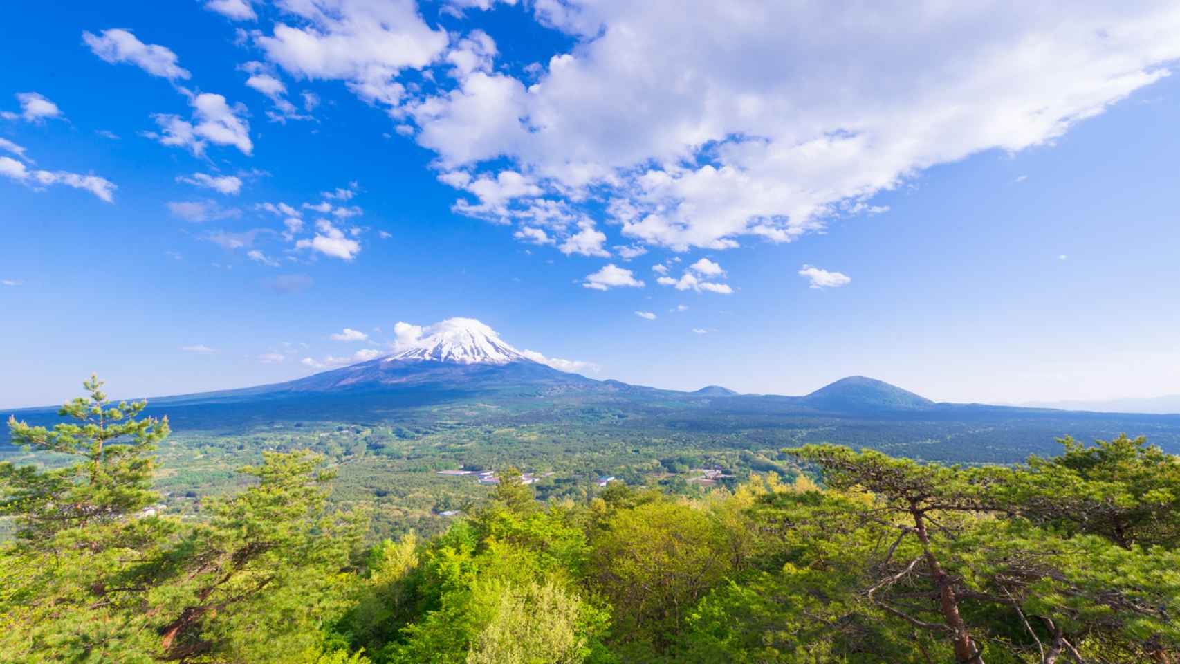 El monte Fuji, sobre el bosque de Aokigahara.