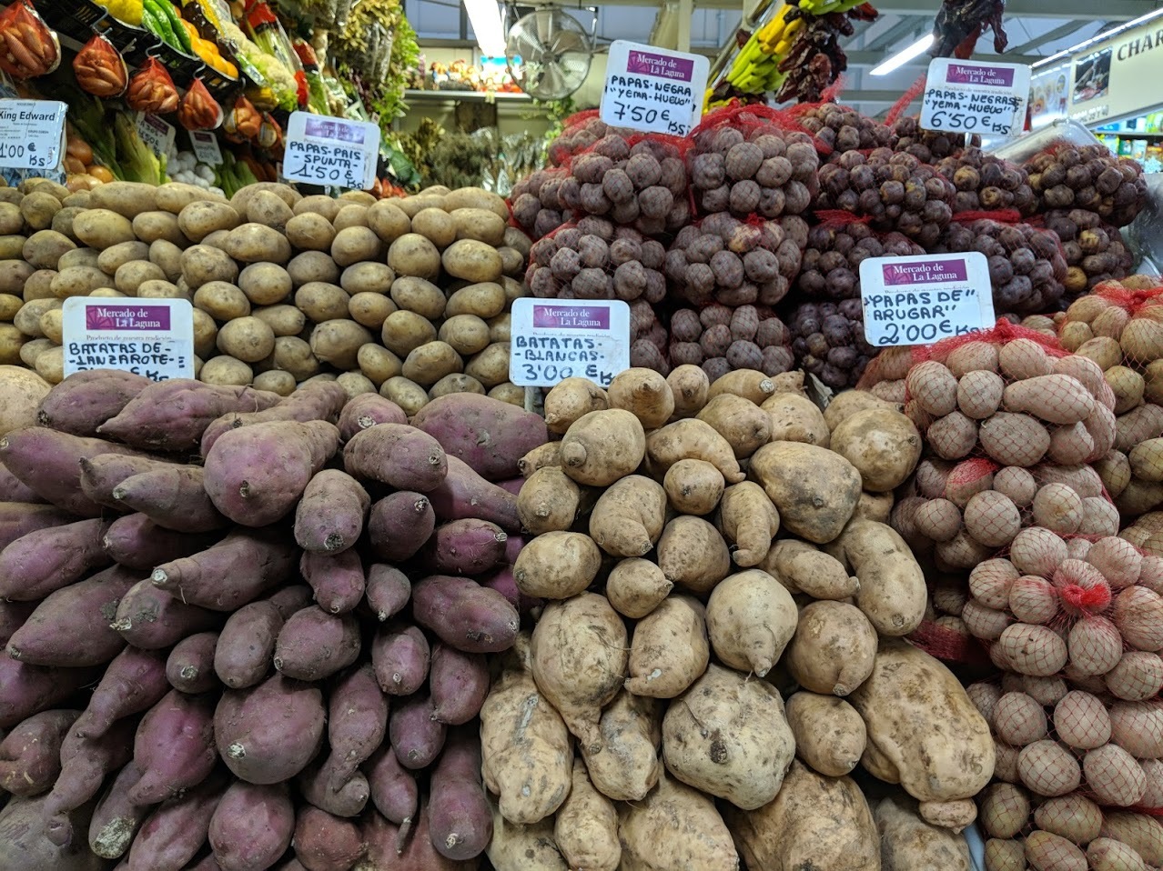 tenerife-laguna-mercado