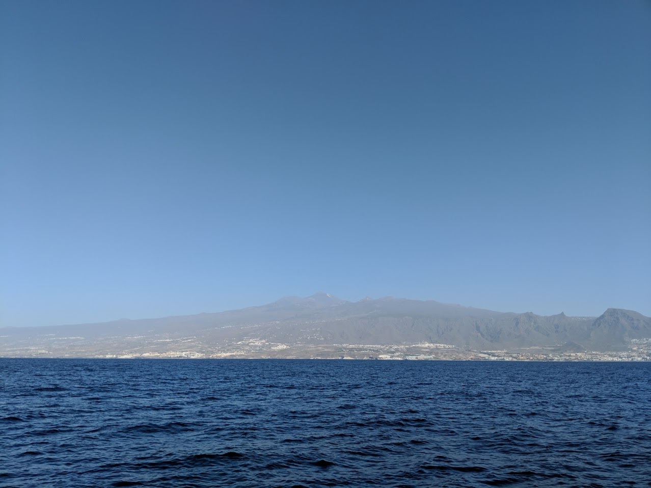 tenerife-avistamiento-cetaceos