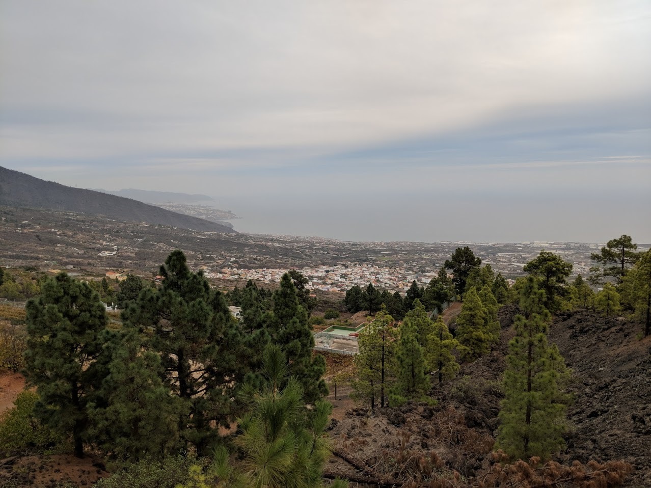 tenerife-bodegas-ferrera