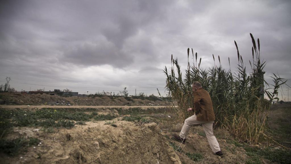 Zona también rastreada cercana al cauce del río Guadalquivir.