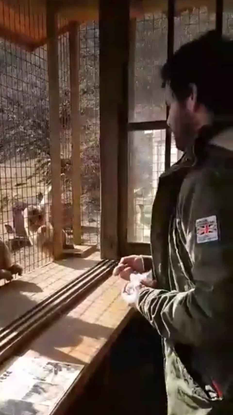Willy Bárcenas dando de comer a los macacos.
