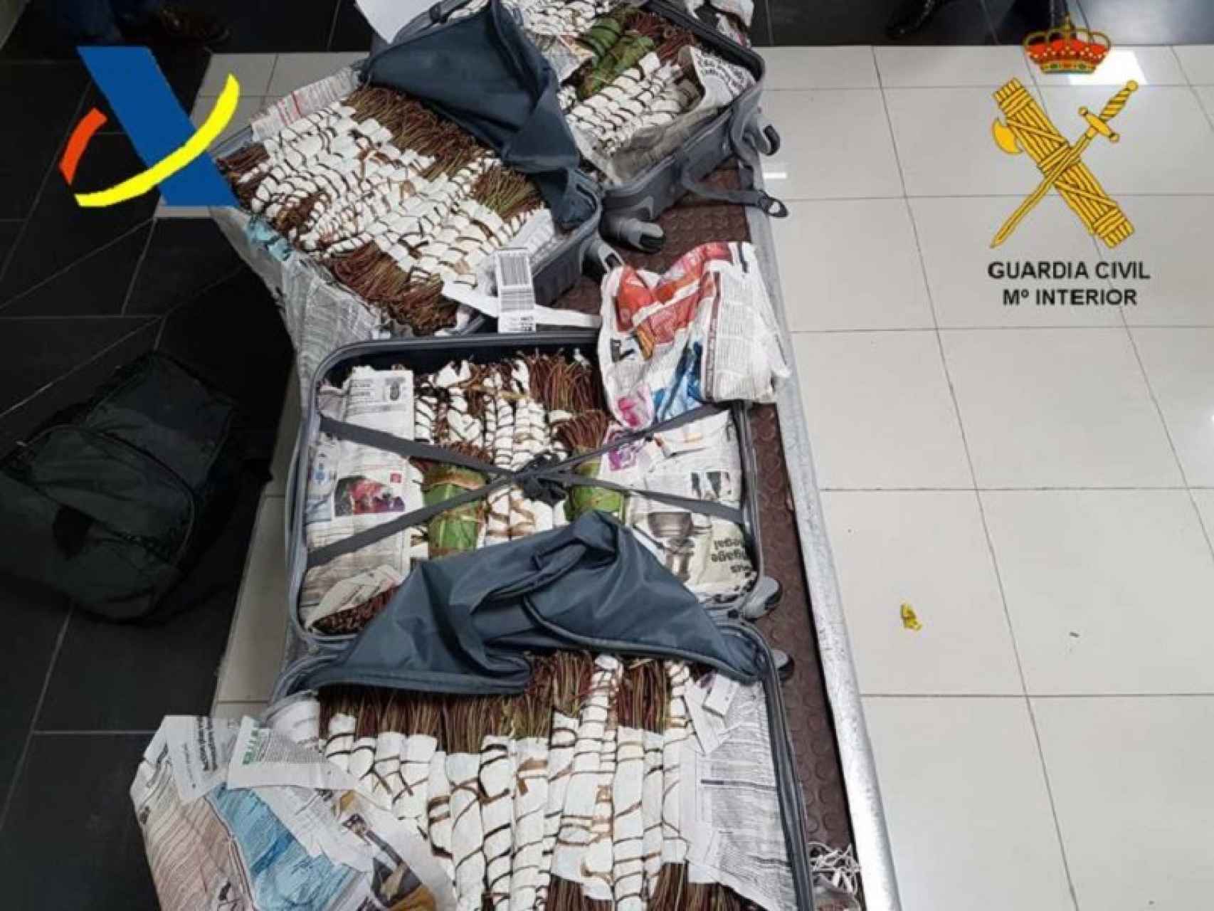 La Guardia Civil ha decomisado 30 kilos de khat en el Aeropuerto de Hondarribia