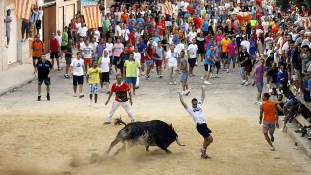 Resultado de imagen de festejos populares en la comunidad valenciana
