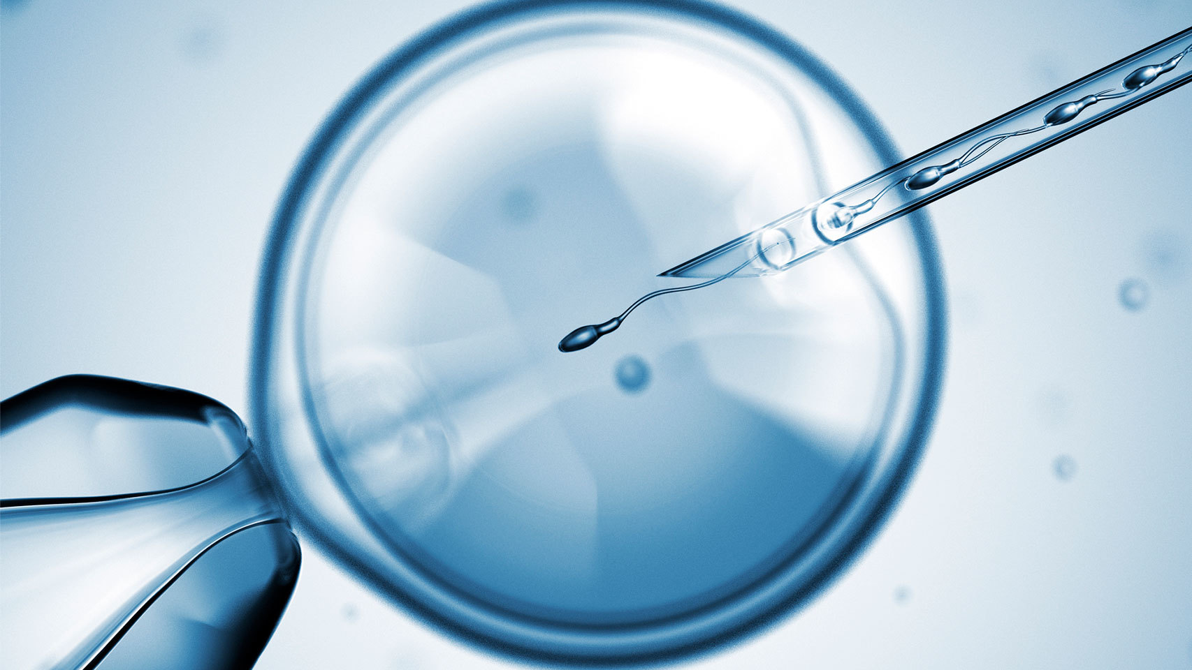 En España había 383 clínicas de reproducción asistida en 2015.