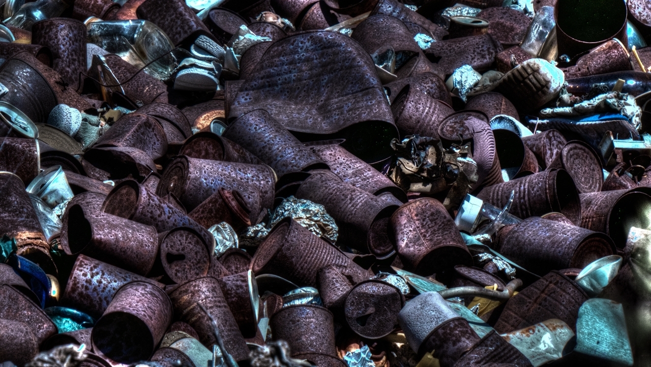 Conservas_caseras_segAlimentaria