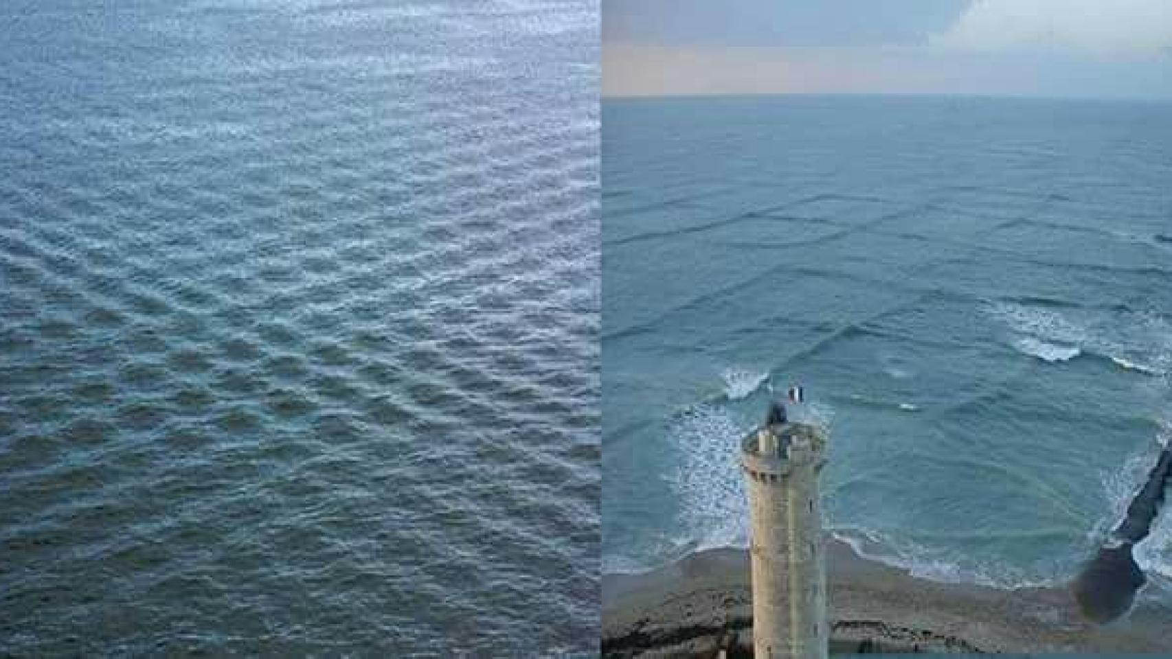 El Mundo Insolito De La Ciencia En 6 Imagenes