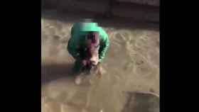 Un descerebrado ahoga a un jabalí en un canal de riego (y encima lo graba)
