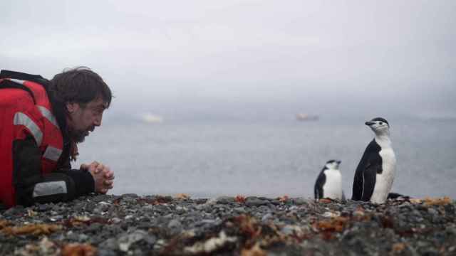 Javier Bardem con un pingüino.