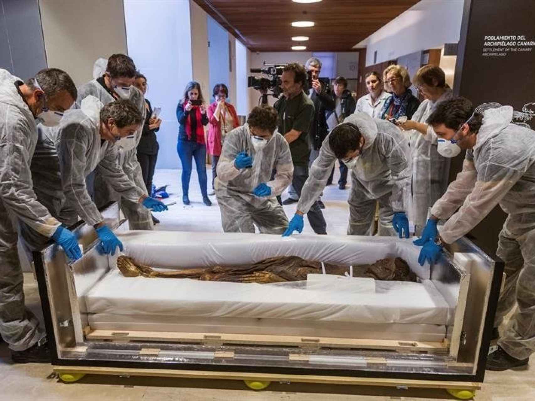 La momia Guanche llega al Museo Arqueológico.