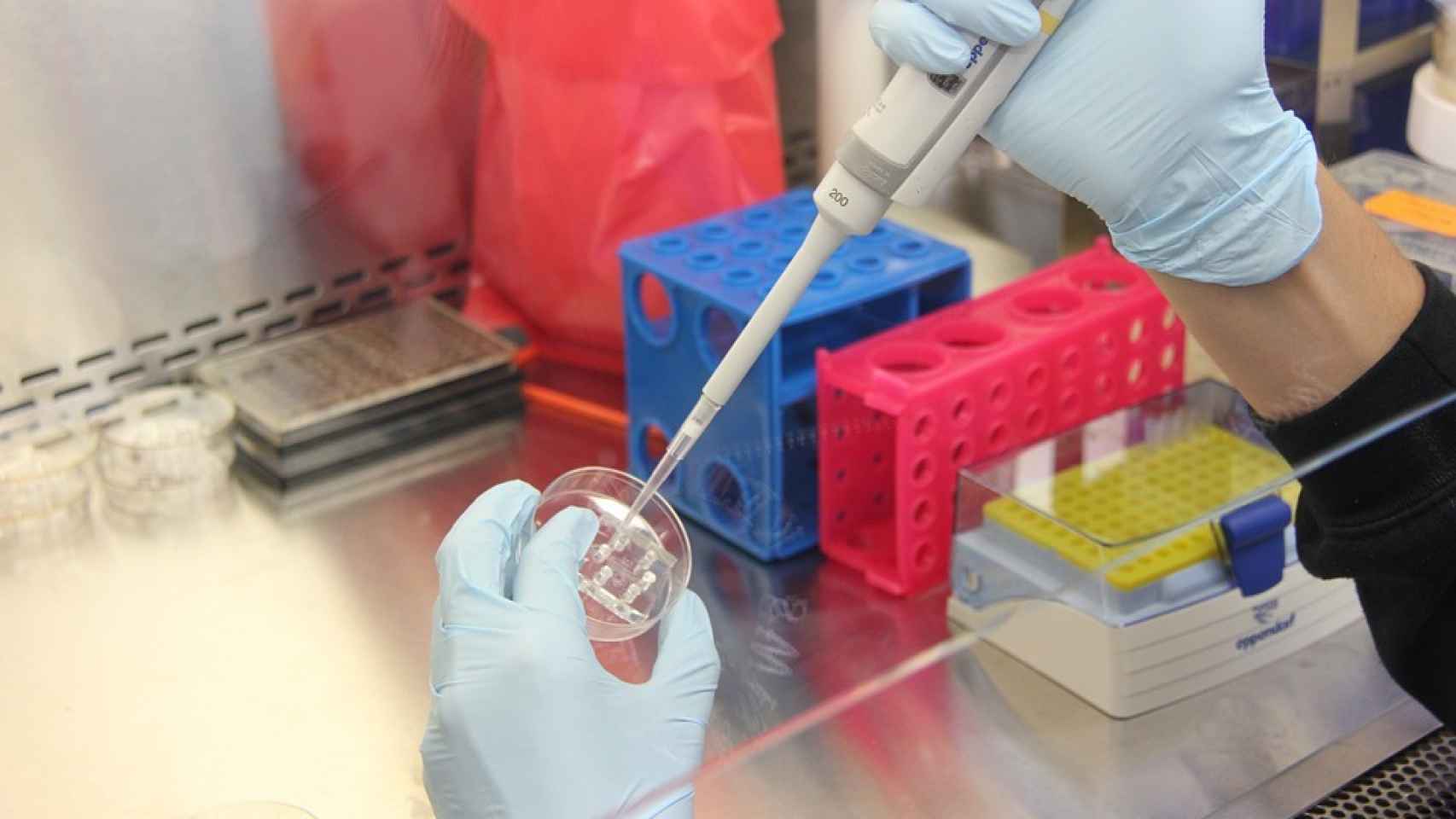 Las muestras de células extraídas por mesas prona garantizan diagnósticos más fieles.