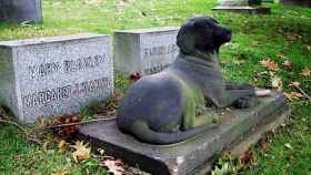 cementerio mascotas