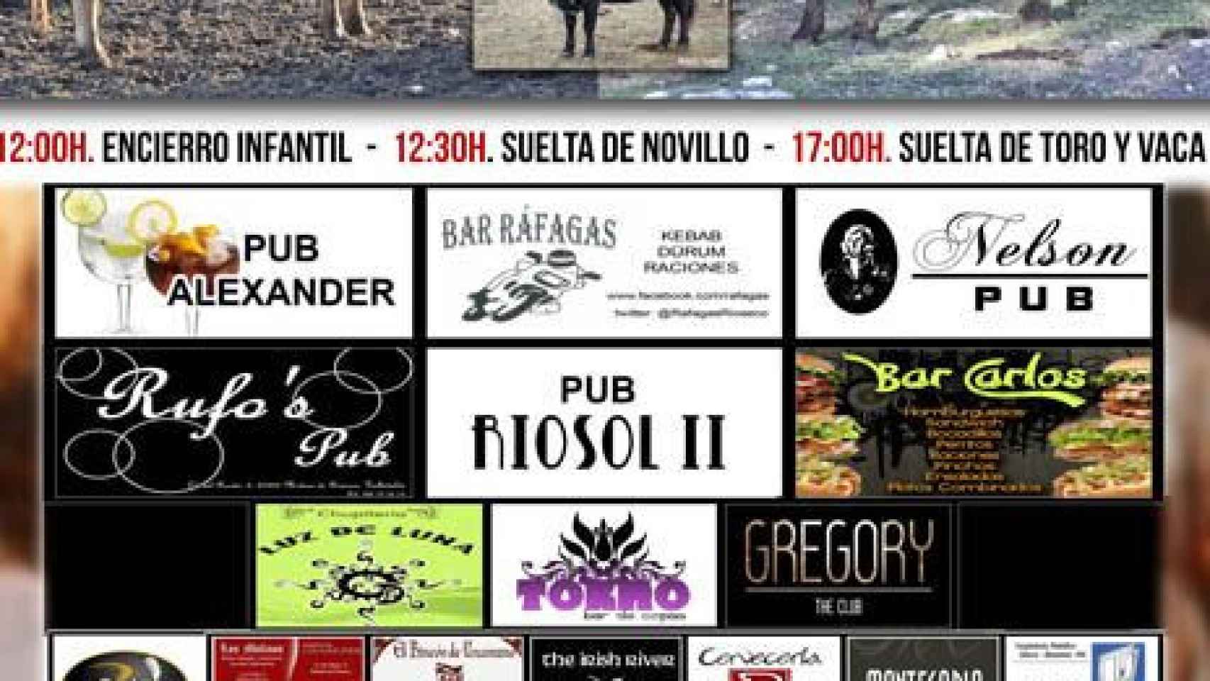 Valladolid-rioseco-carnaval-toro