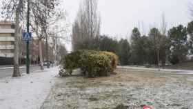Valladolid-nieve-frio