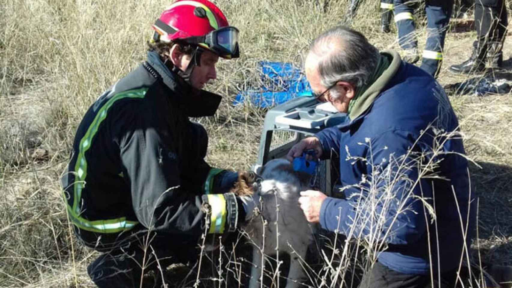 Valladolid-bomberos-perro-rescate