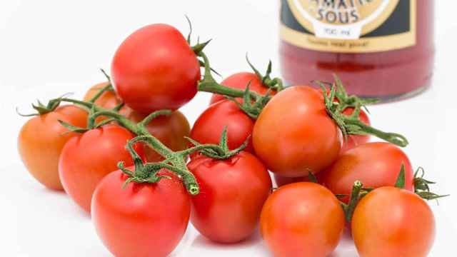 Salsa-tomate-casera_variedad