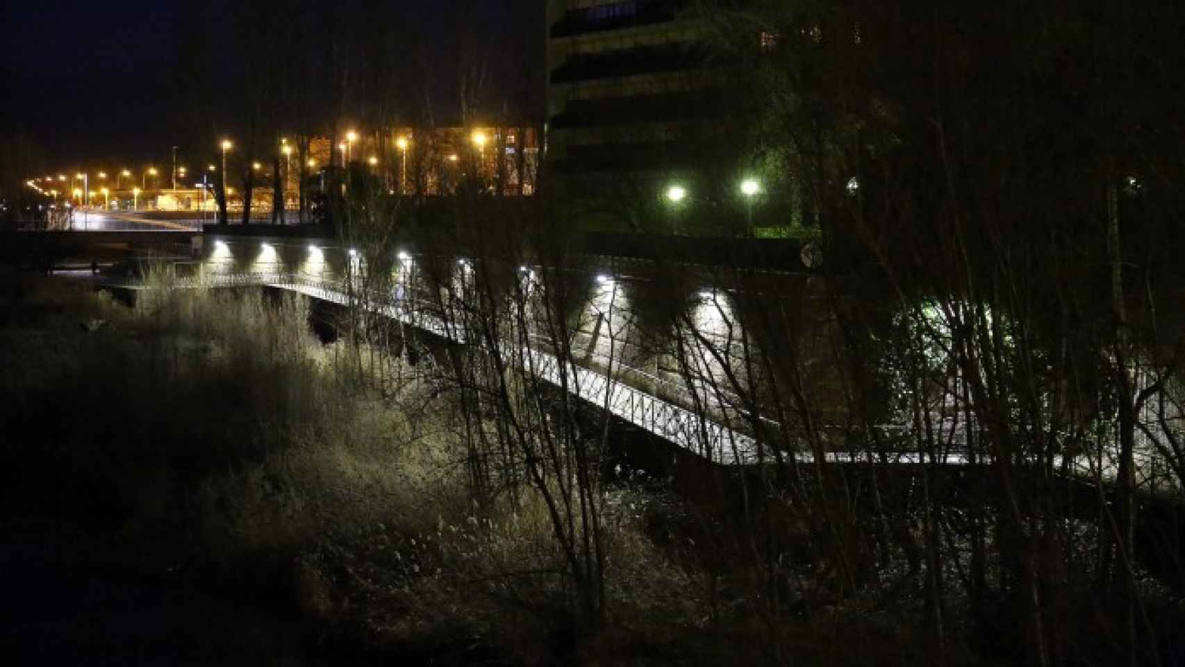 2018-02-11 Nuevas luminarias pasarela San Marcos (3)