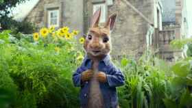 Boicot de los alérgicos a la película Peter Rabbit, que tachan de “irresponsable”