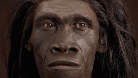 Los principales restos de 'Homo Erectus' se han encontrado en China, Indonesia y el sur de Europa.