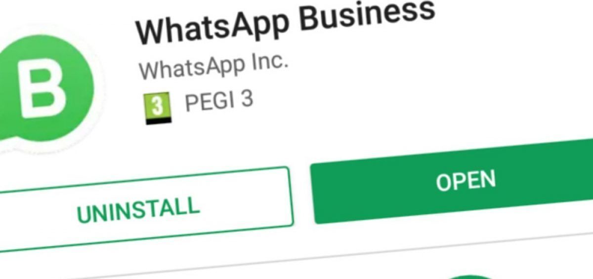 whatsapp business negocios empmresas