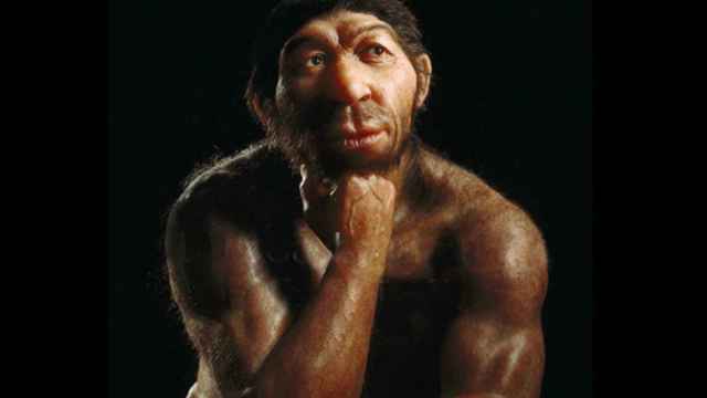 Estatua que reconstruye a un hombre de Neanderthal.