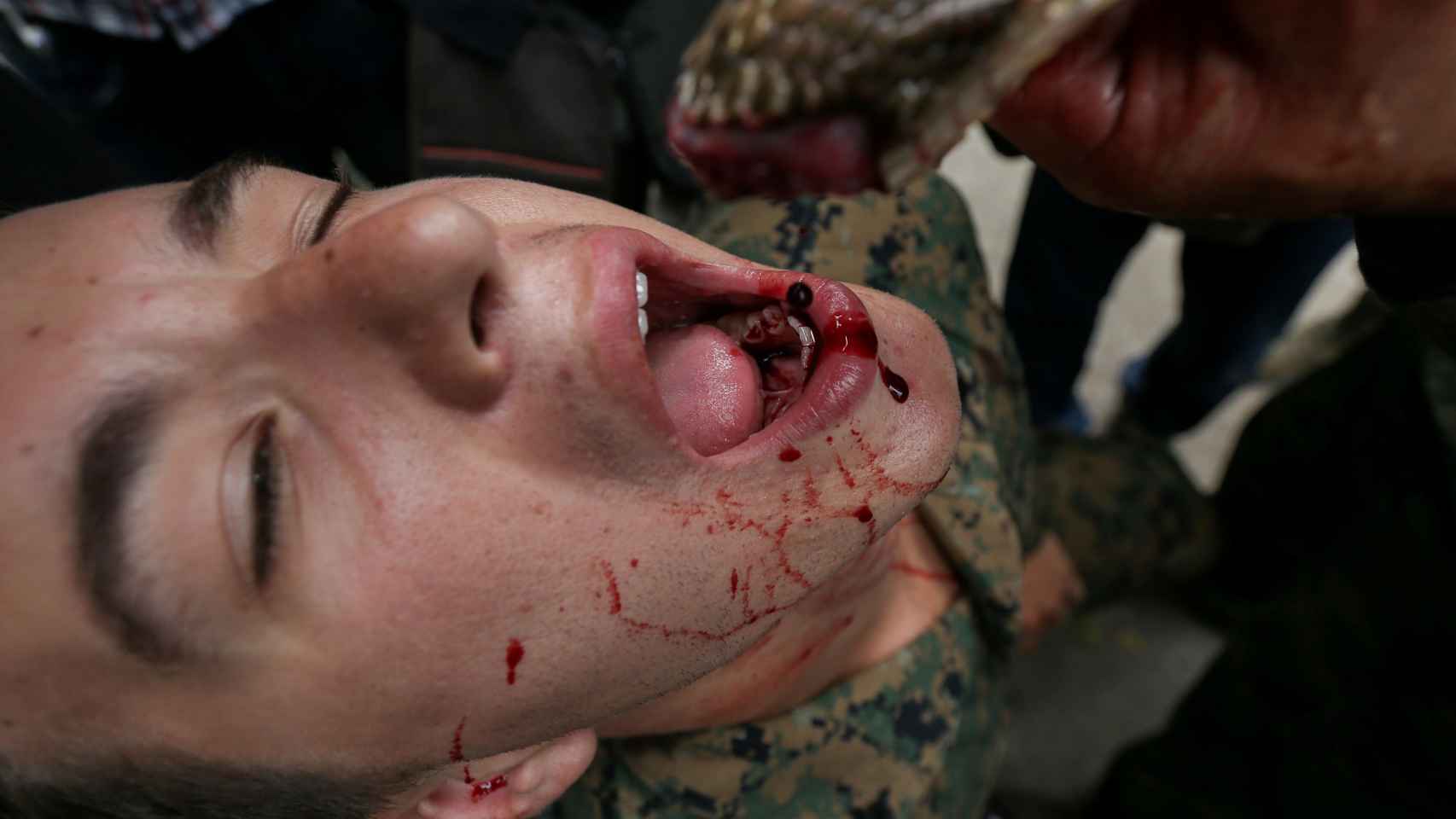Qué hacen los marines norteamericanos bebiendo sangre de cobra