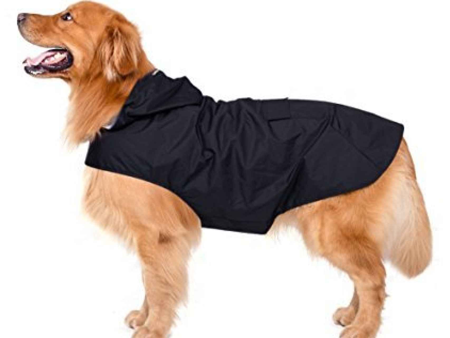 La prenda perfecta para proteger de la lluvia a tu perro.