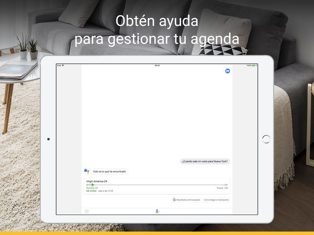 google assistant ipad 1