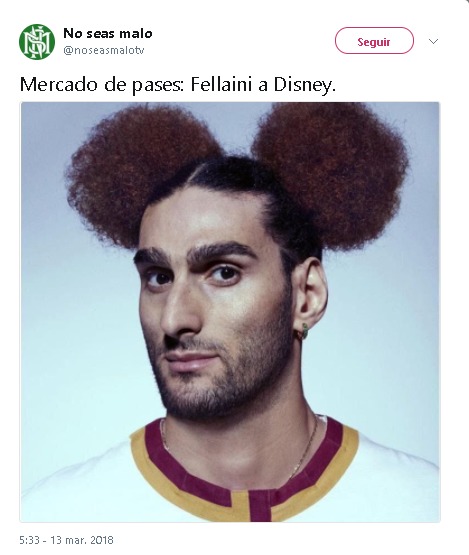 fellainii