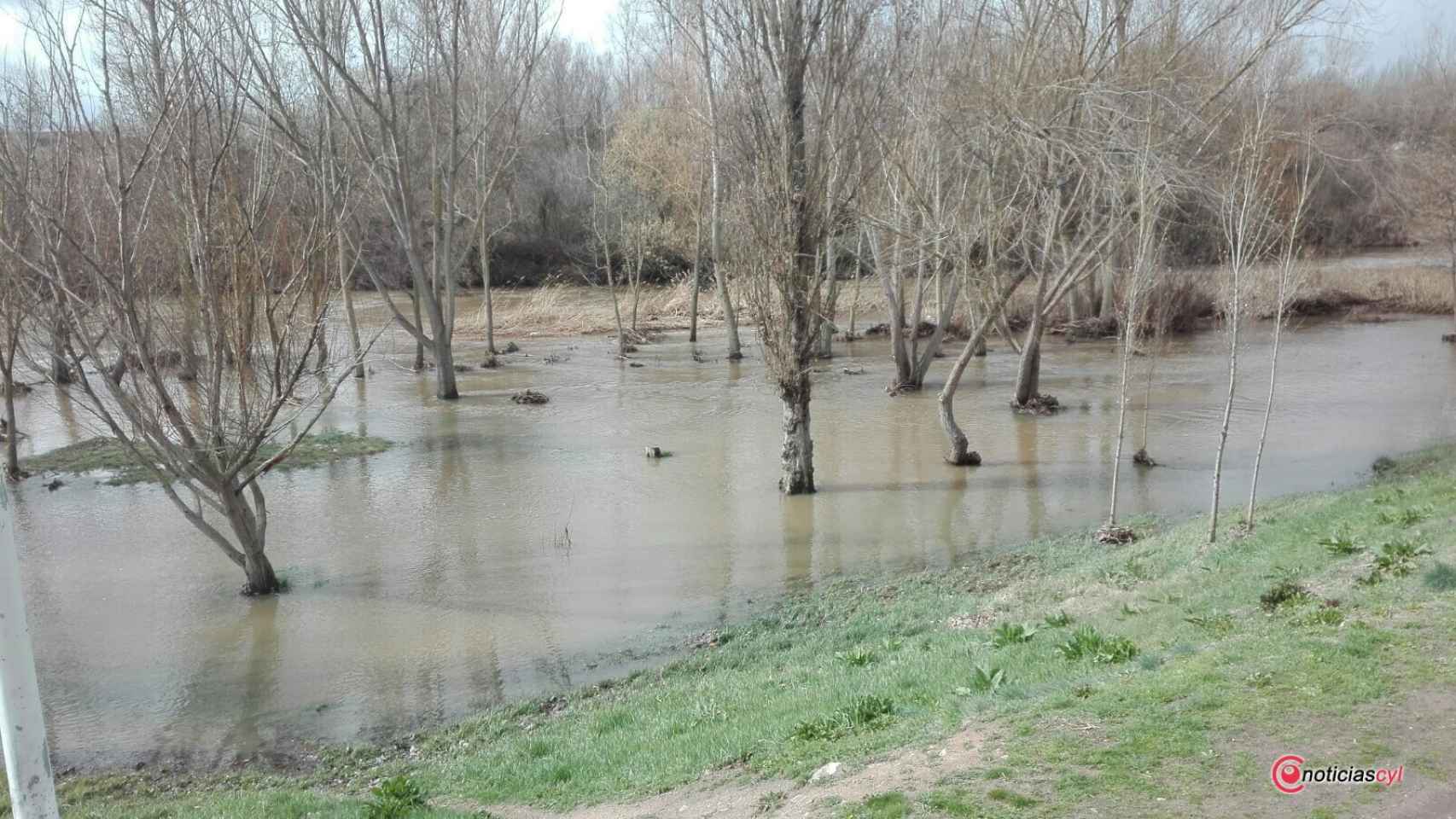 crecida rio tormes salamanca 4