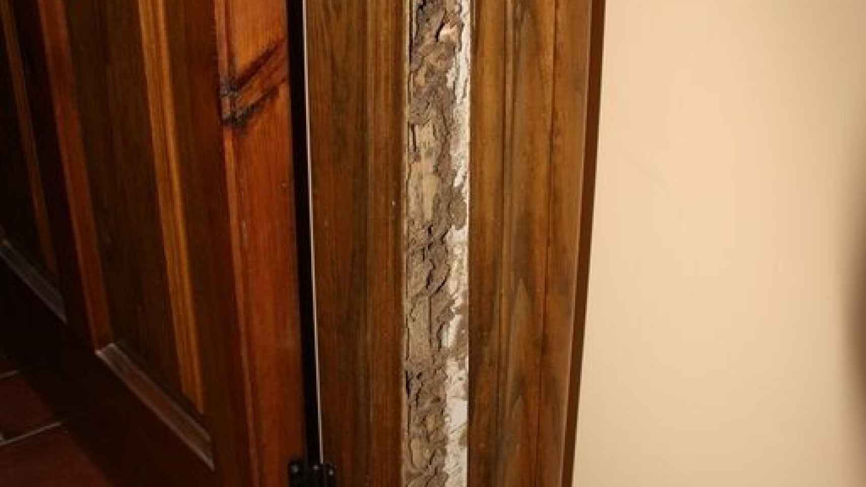 termitas marco puerta