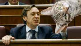 Twitter responde a la obsesión de Rafael Hernando consigo mismo con un gatos