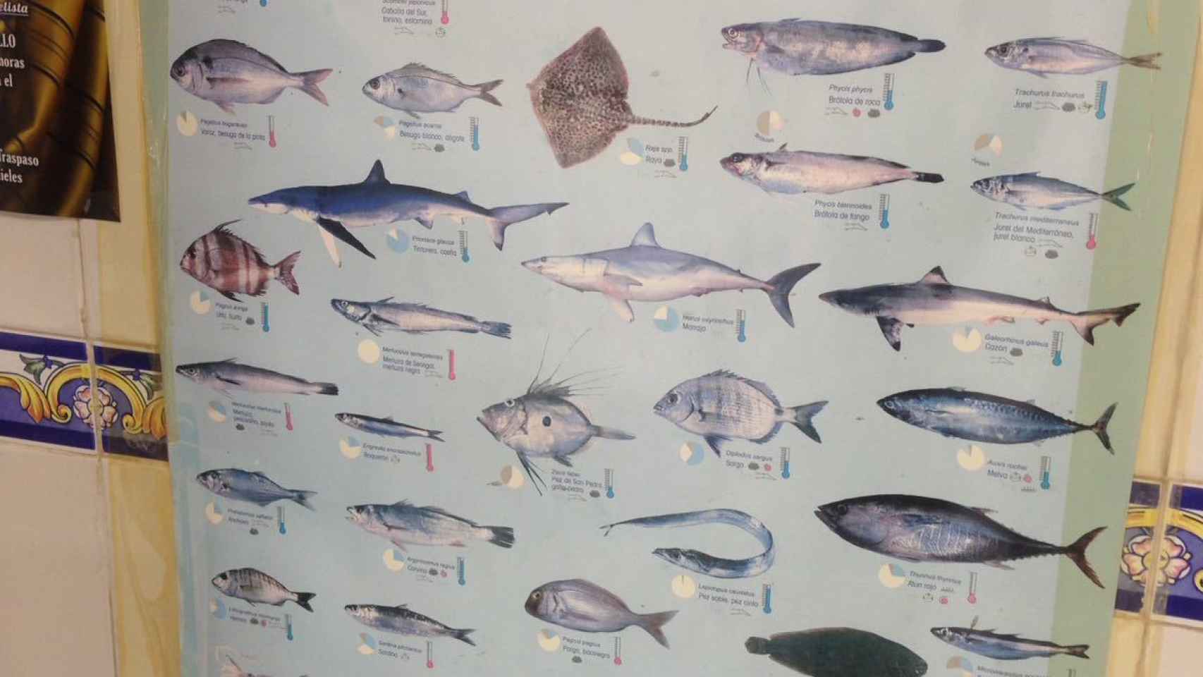 Cartel en la pescadería de Marina con el que el niño aprendía todas las especies de peces