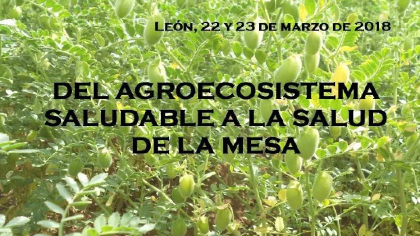 IV Jornadas de Agricultura Ecologica