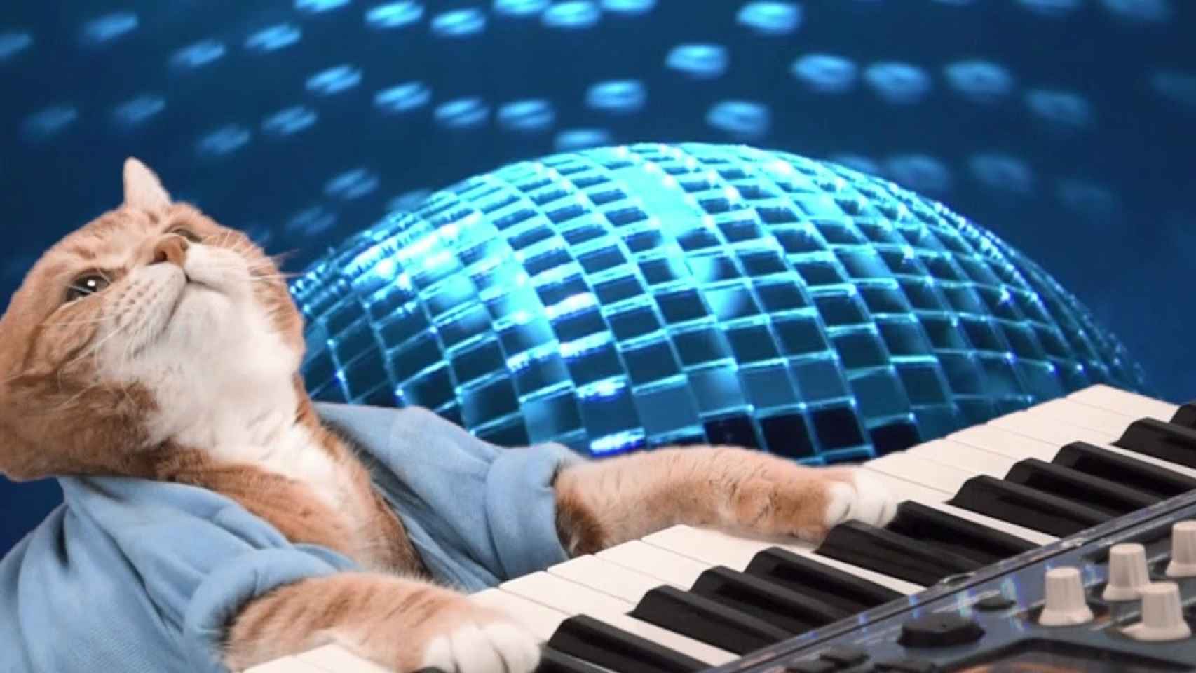 Bento, el Keyboard Cat