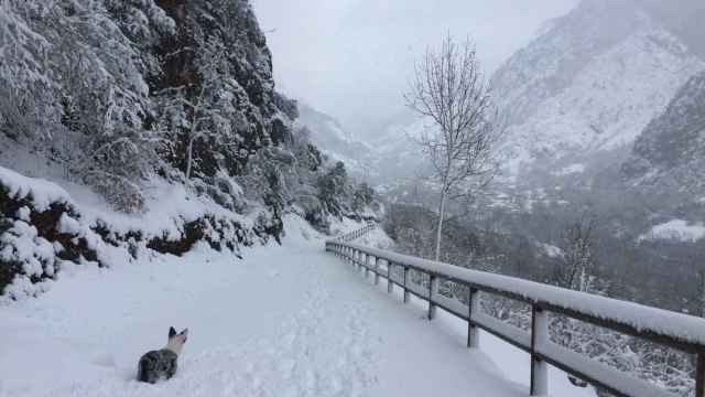 La nevada en Pola de Somiedo, Asturias por Marité Lana Díaz.