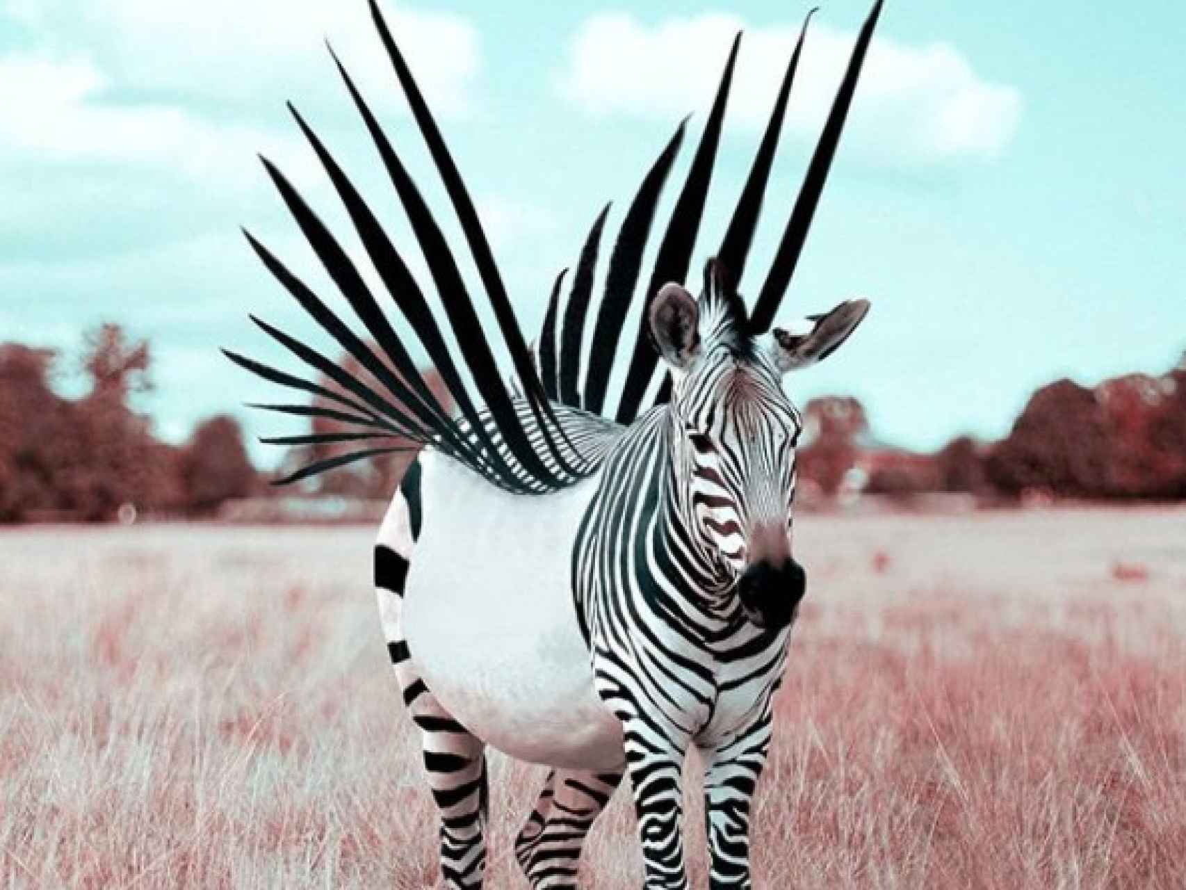 Usa Photoshop para convertir la realidad en Narnia, o en un viaje de LSD