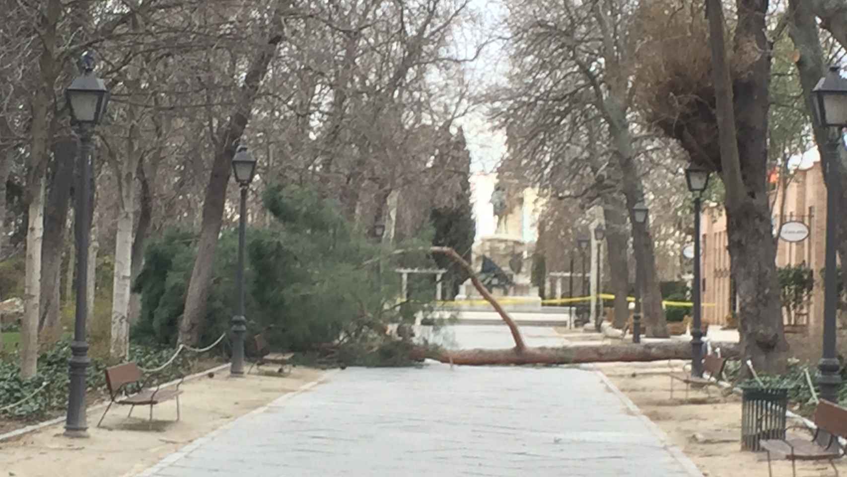 Imagen del árbol caído por el viento y que ha matado a un niño en el parque del Retiro de Madrid.