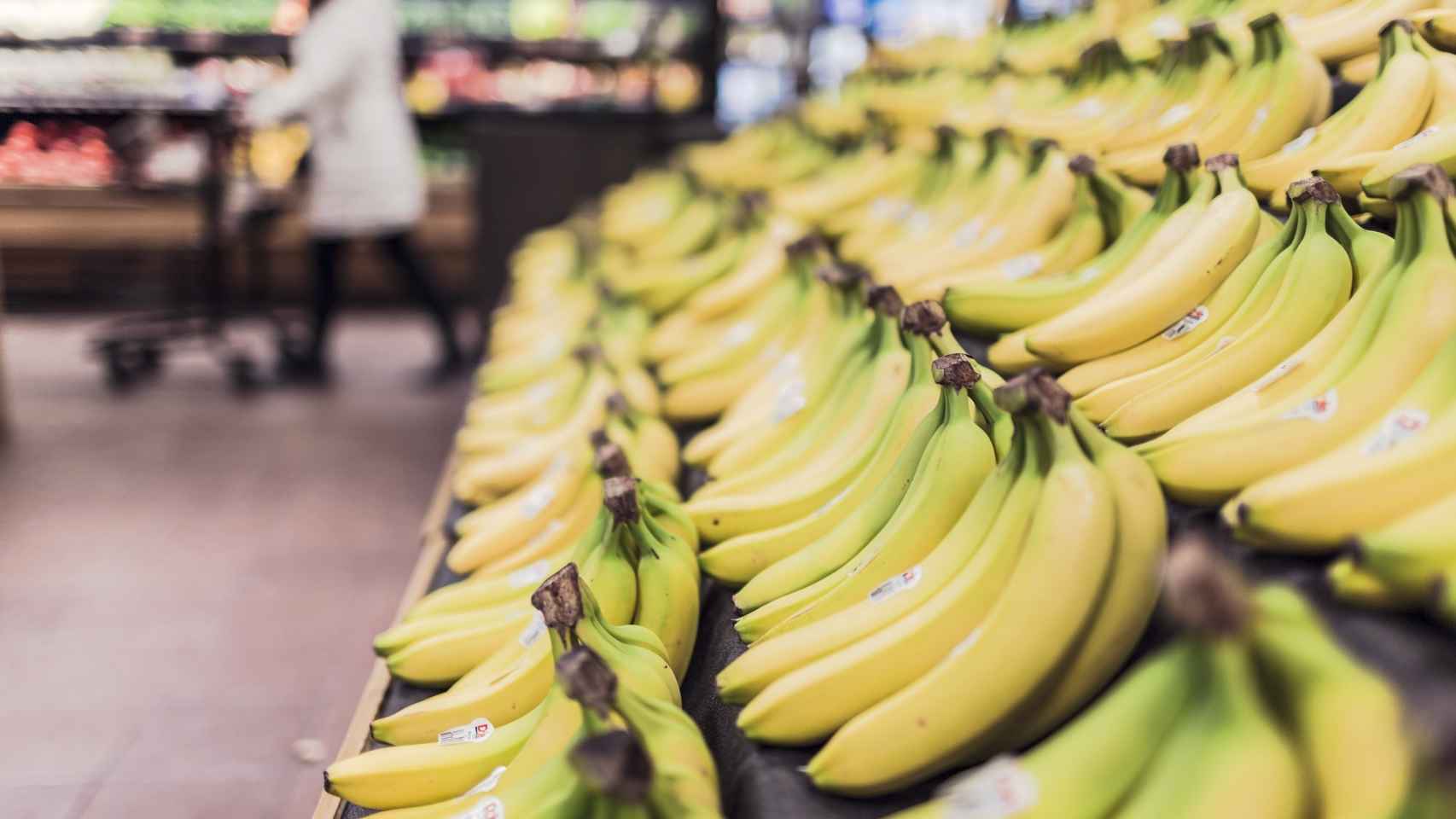 Decenas de plátanos dispuestos en bandejas en un supermercado.
