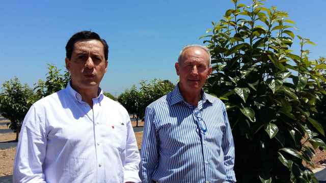 El director general de AEPLA, Carlos Palomar, y el presidente de AVA, Cristóbal Aguado.
