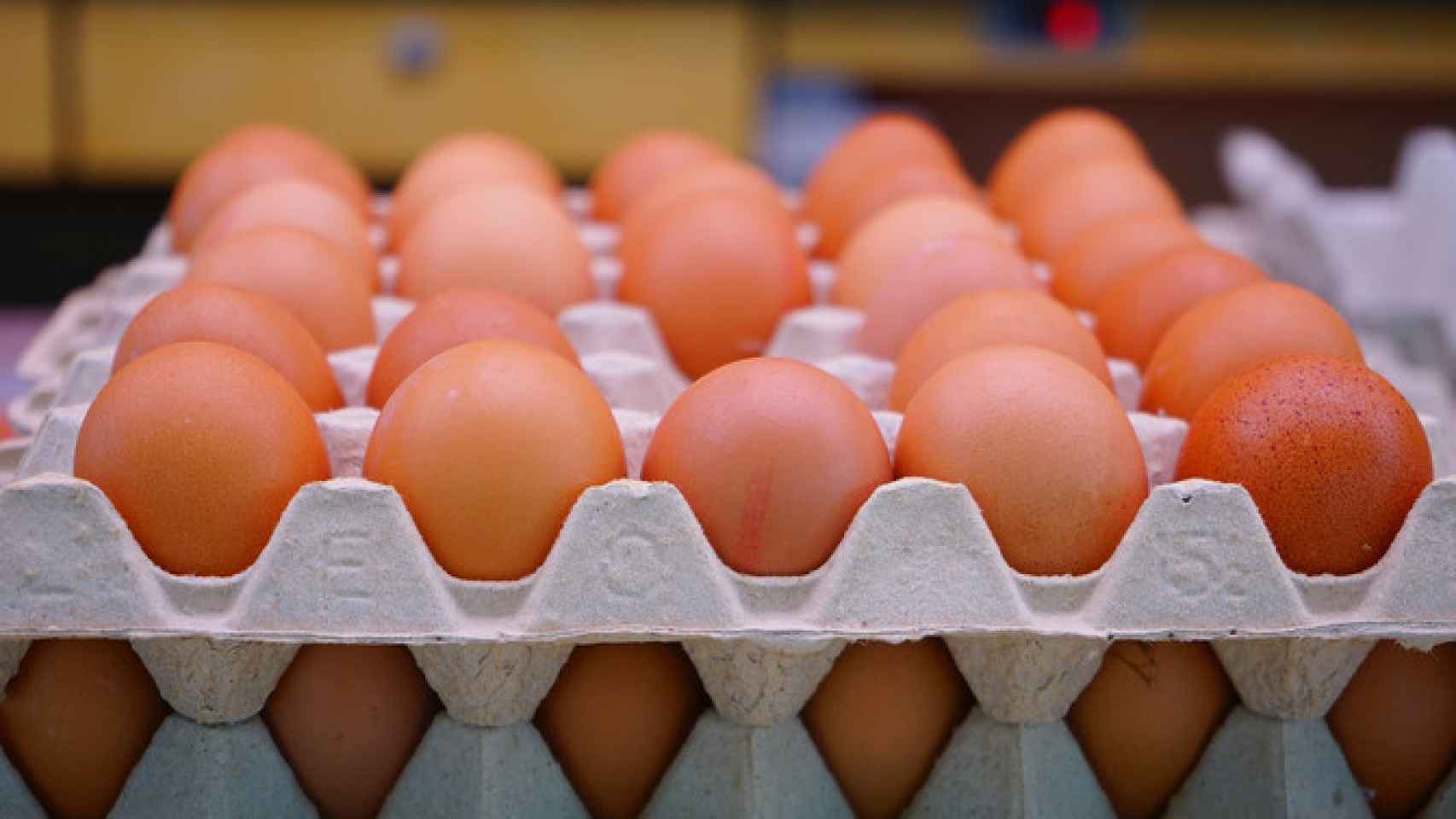 En todo el mundo se producen 68 millones de toneladas de huevos.