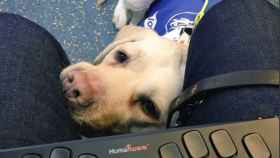 La indignación de un ciego tras un incidente en el metro con su perro guía