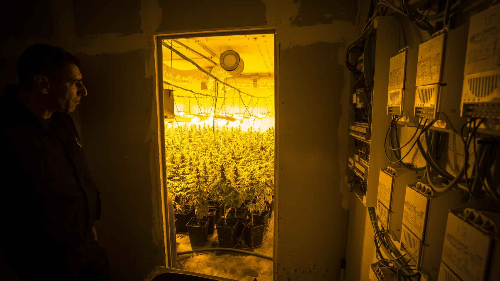 Varios cuadros eléctricos en una plantación ilegal de marihuana.