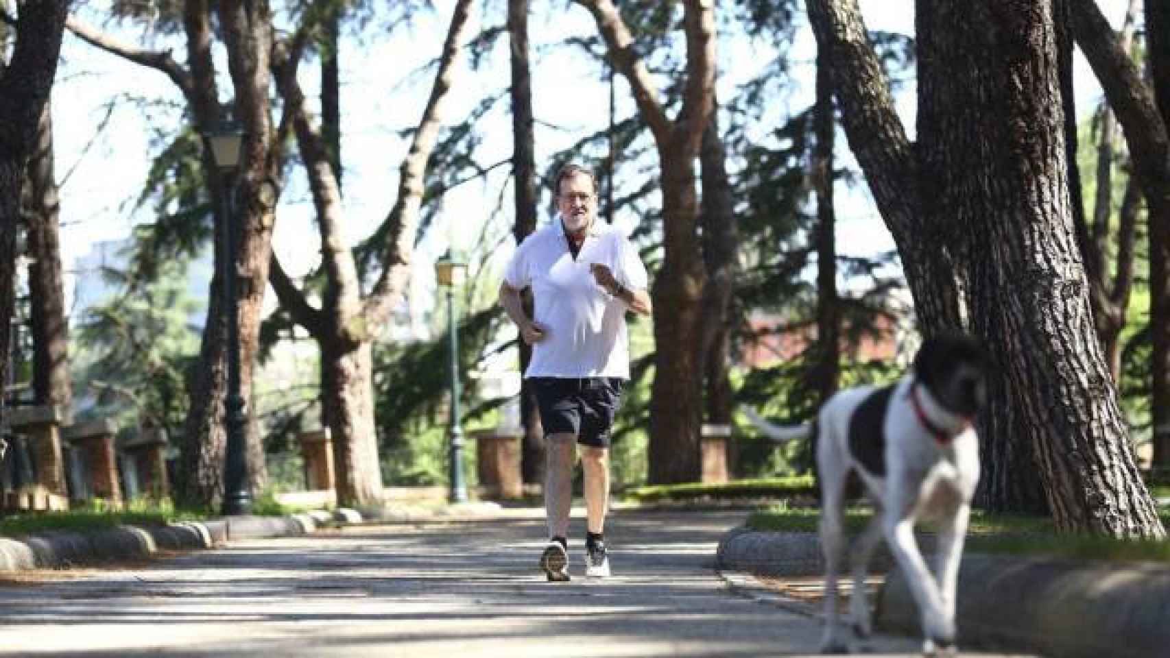 Rajoy y su perro Rico en 2016.