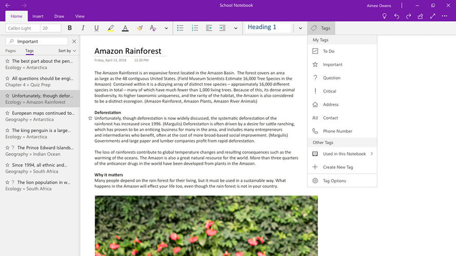 onenote microsoft 1
