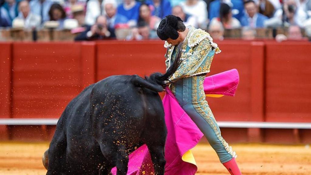 Templada media de Ginés Marín