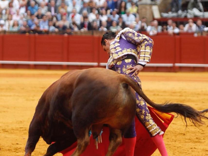 Derechazo de Manzanares al enclasado 'Manzanilla'