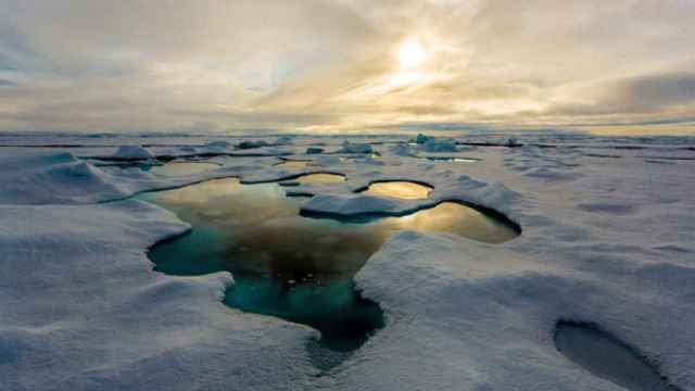 El Ártico se ha visto seriamente dañado en los últimos tiempos debido al calentamiento global.