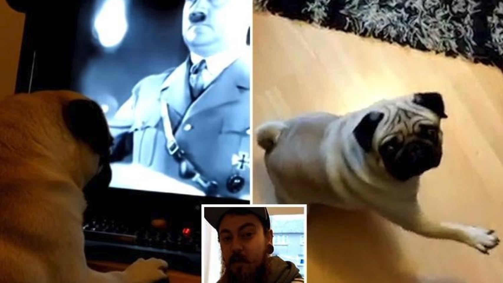 El hombre enseñaba al perro vídeos de Hitler.