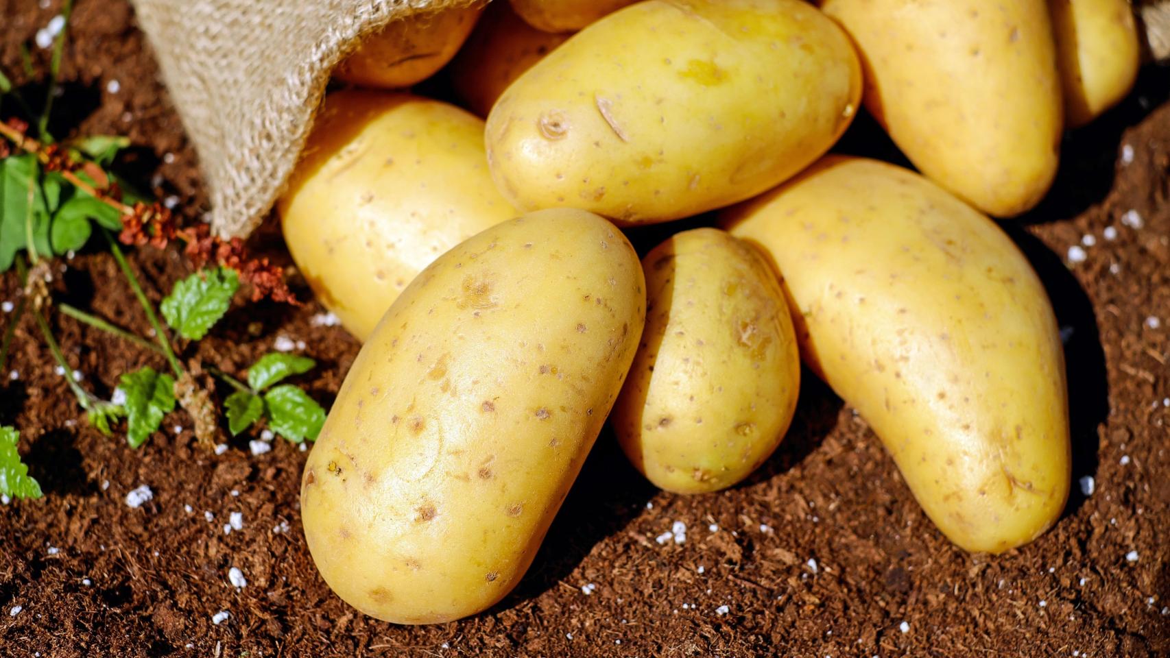 A pesar de su poder energético, las patatas no son un alimento completo por sí solas.